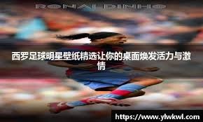准命中盒
