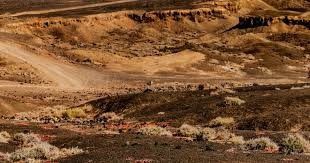 迪马济奥：普利希奇已伤愈归队，能够参加意杯米兰客战拉齐奥